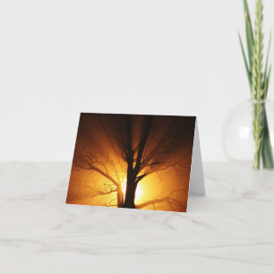 Lichtbogenkarte Karte