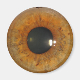 Lichtbraun Magnet
