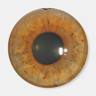 Lichtbraun Magnet