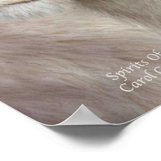 Lichtbrillen - Weißes Löwenkunstposter/Printwerbun Poster (Ecke)