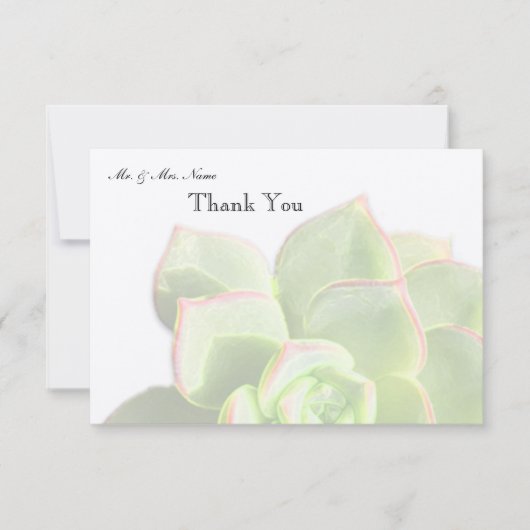 Lichtdurchlässiger grüner Succulent danken Ihnen Dankeskarte (Vorderseite)