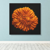 Lichtenkomposition - Leinwand Art Print (Insitu (Holzboden))