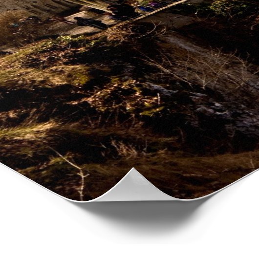 Lichtenstein Schloss Lichtenstein Poster (Ecke)