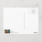 Lichter der Straße Fremont Postkarte (Rückseite)