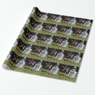Lichterlaterne Geschenkpapier