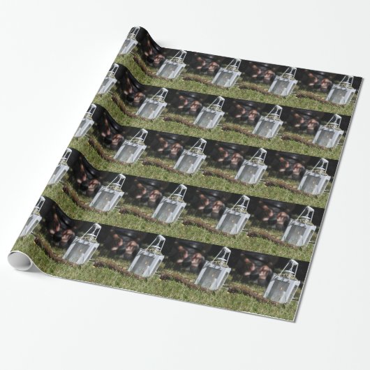 Lichterlaterne Geschenkpapier (Ungerollt)