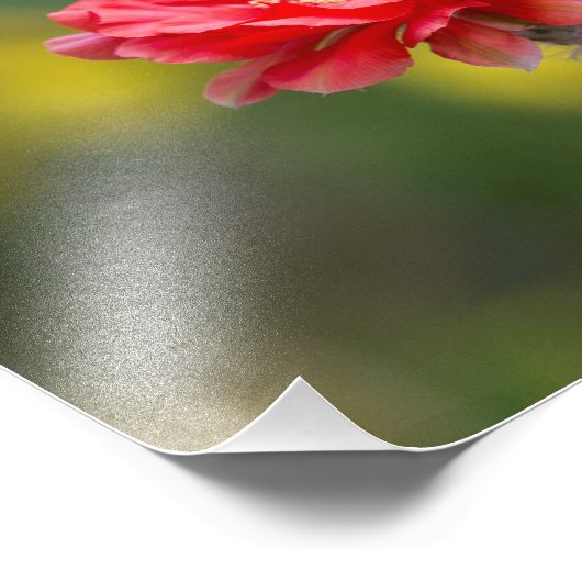 Lichtfarbe Fotodruck (Ecke)