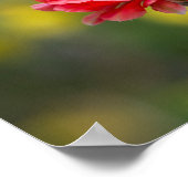 Lichtfarbe Poster (Ecke)