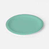 Lichtküstengrüne Farbe Pappteller (Schrägansicht)