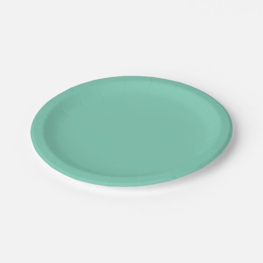 Lichtküstengrüne Farbe Pappteller (Schrägansicht)