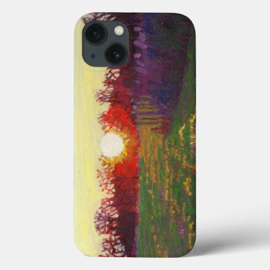 Lichtpfad 2013 Case-Mate iPhone hülle (Rückseite)