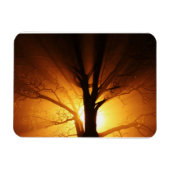 Lichtschacht Premium Magnet (Horizontal)