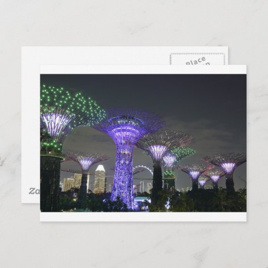 Lichtshow "Gardens by Bay Supertree Grove" Postkarte (Vorne/Hinten)