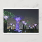 Lichtshow "Gardens by Bay Supertree Grove" Postkarte (Vorderseite)