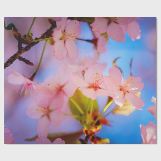 Lichtspiel auf Sakura Geschenkpapier (Flach)