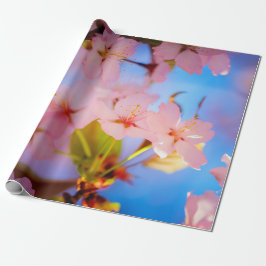 Lichtspiel auf Sakura Geschenkpapier