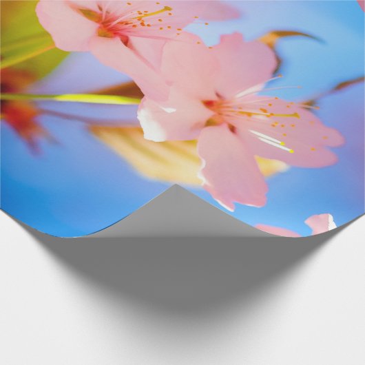 Lichtspiel auf Sakura Geschenkpapier (Ecke)