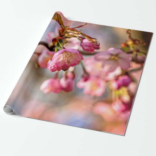 Lichtspiel und Schatten auf den Petalen der Sakura Geschenkpapier (Ungerollt)