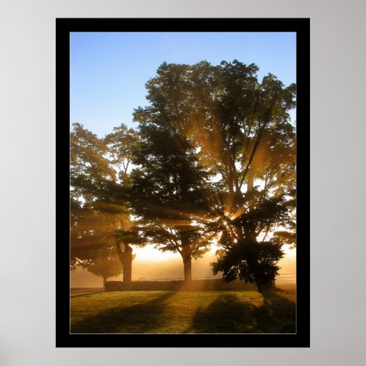 Lichtstrahlen 4 poster (Vorne)