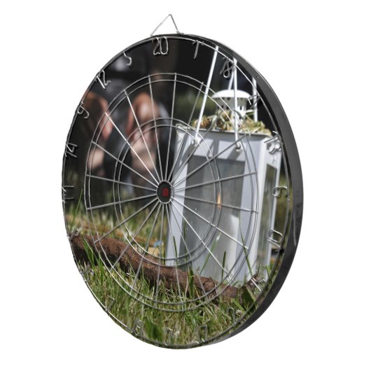 Lichtstrahlen Dartscheibe (Vorderseite rechts)