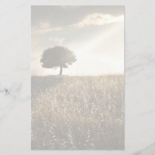 Lichtstrahlen durchbrechen den dramatischen Himmel Briefpapier (Vorderseite)