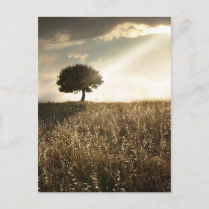 Lichtstrahlen durchbrechen den dramatischen Himmel Postkarte