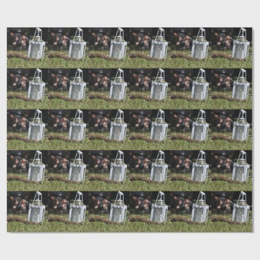 Lichtstrahlen Geschenkpapier (Flach)