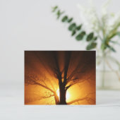 Lichtstrahlen Postkarte (Stehend Vorderseite)
