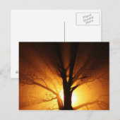 Lichtstrahlen Postkarte (Vorne/Hinten)