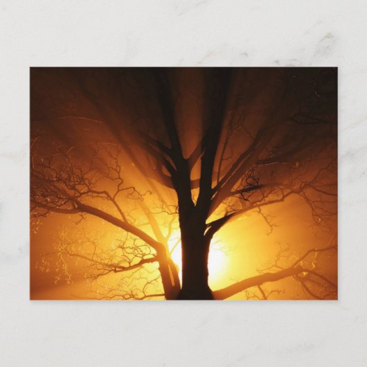 Lichtstrahlen Postkarte (Vorderseite)