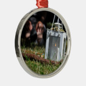 Lichtstrahlen Silbernes Ornament (Rechts)