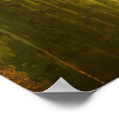 Lichttunnel im Waldposter Poster (Ecke)