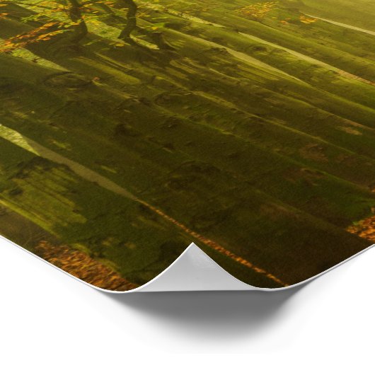 Lichttunnel im Waldposter Poster (Ecke)