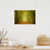 Lichttunnel im Waldposter Poster (Küche)