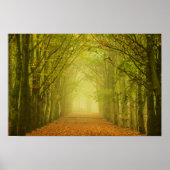 Lichttunnel im Waldposter Poster (Vorne)