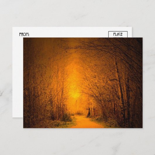 Lichtwahrer Postkarte (Vorne/Hinten)