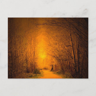 Lichtwahrer Postkarte