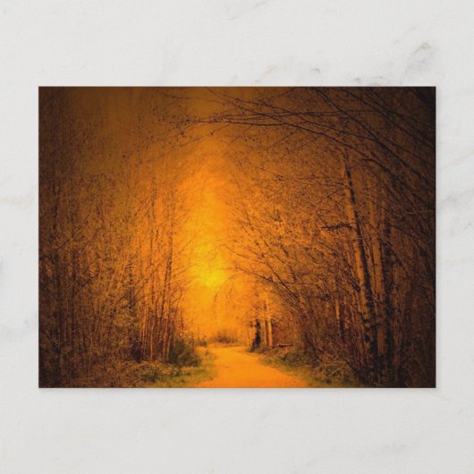 Lichtwahrer Postkarte (Vorderseite)