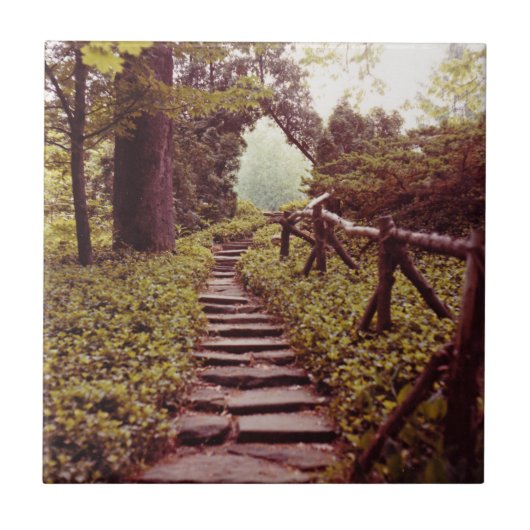 Lichtweg Fliese (Vorderseite)