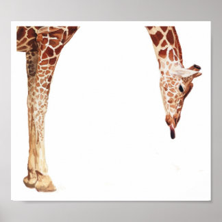 "Licker" Giraffe Wildtiere Wasserfarbe Poster