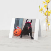 Licker Leckerei Karte (Gelbe Blume)