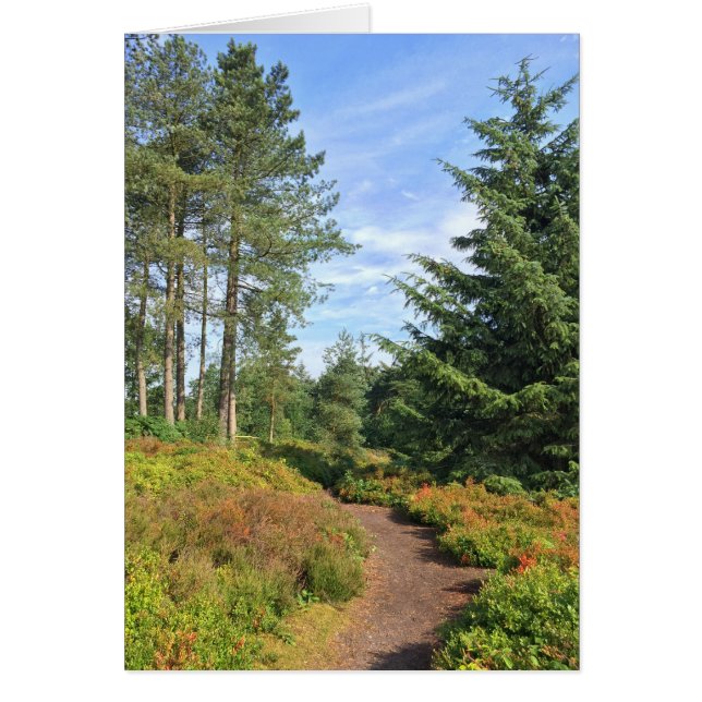 Lickey Hills (Vorne)