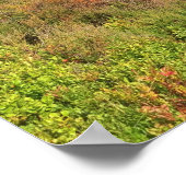 Lickey Hills Poster (Ecke)