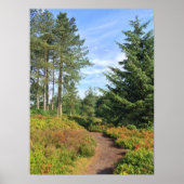 Lickey Hills Poster (Vorne)
