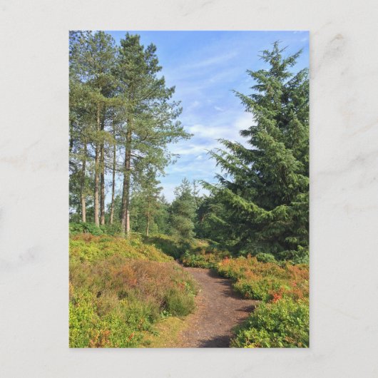 Lickey Hills Postkarte (Vorderseite)
