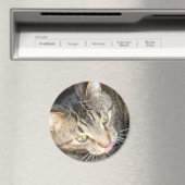 Licky Paws Magnet (In Situ (Geschirrspüler))