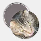 Licky Paws Magnet (Vorderseite/Rückseite)