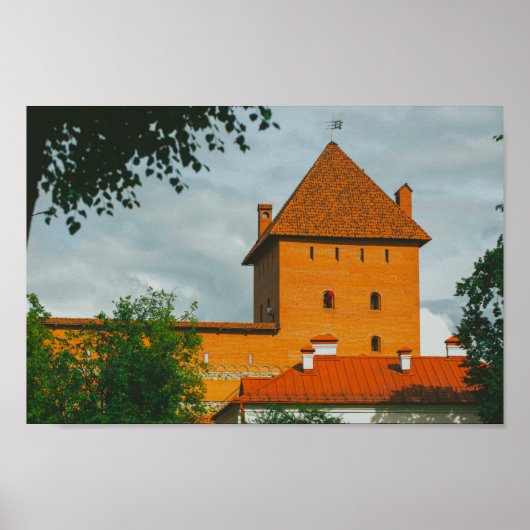 Lida Belarus Architektur Schloss Poster (Vorne)