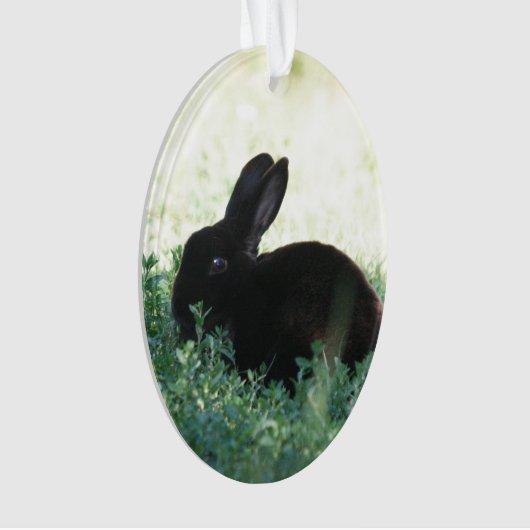 Lidschwarz Ornament (Vorderseite)