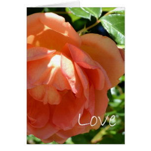 Liebe